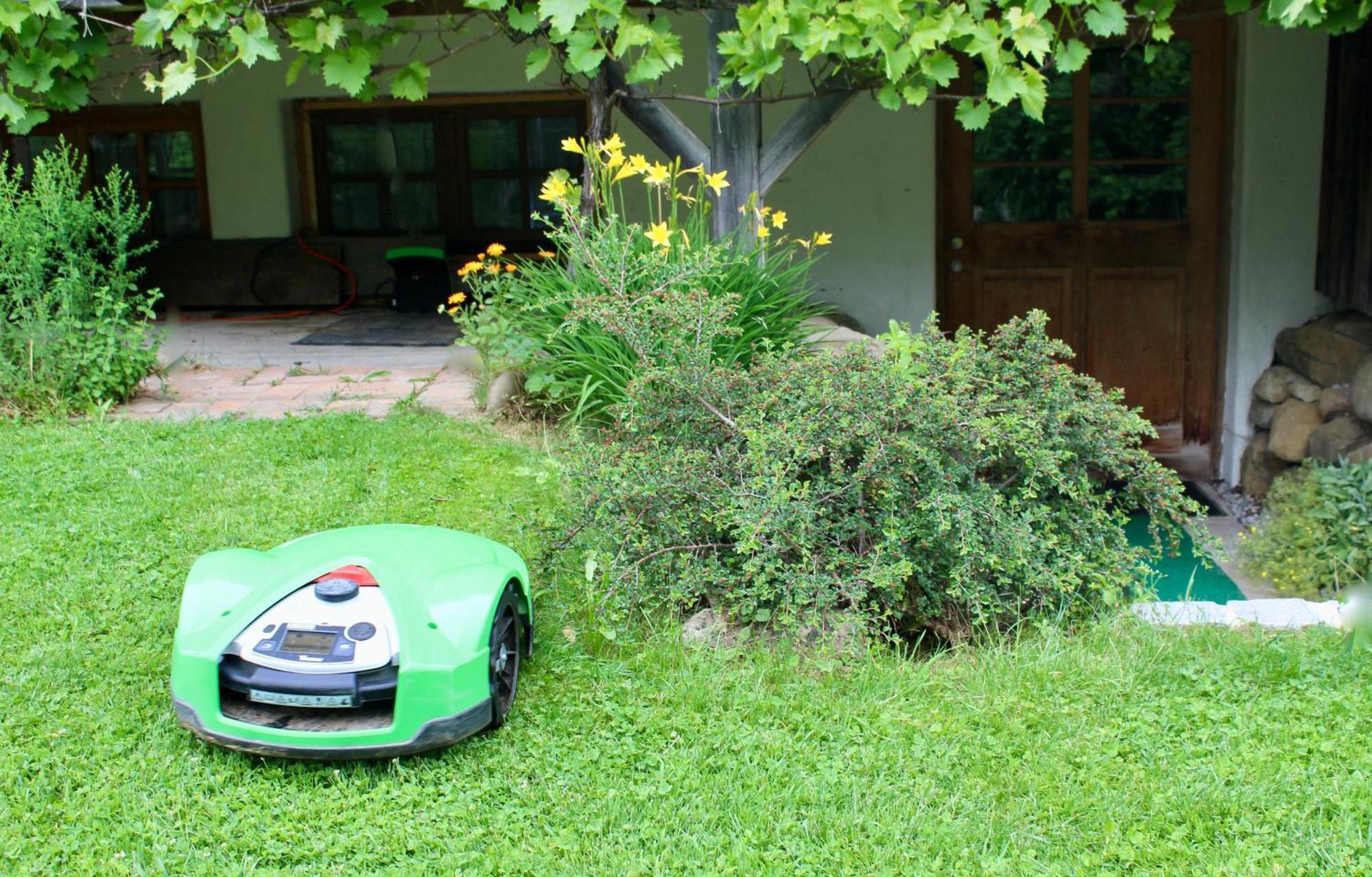 Niedersonthofen Landsitz Rocky Dockyヴィラ エクステリア 写真