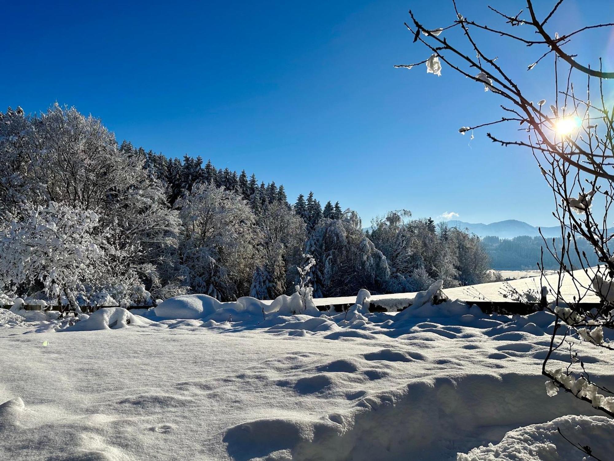 Niedersonthofen Landsitz Rocky Dockyヴィラ エクステリア 写真