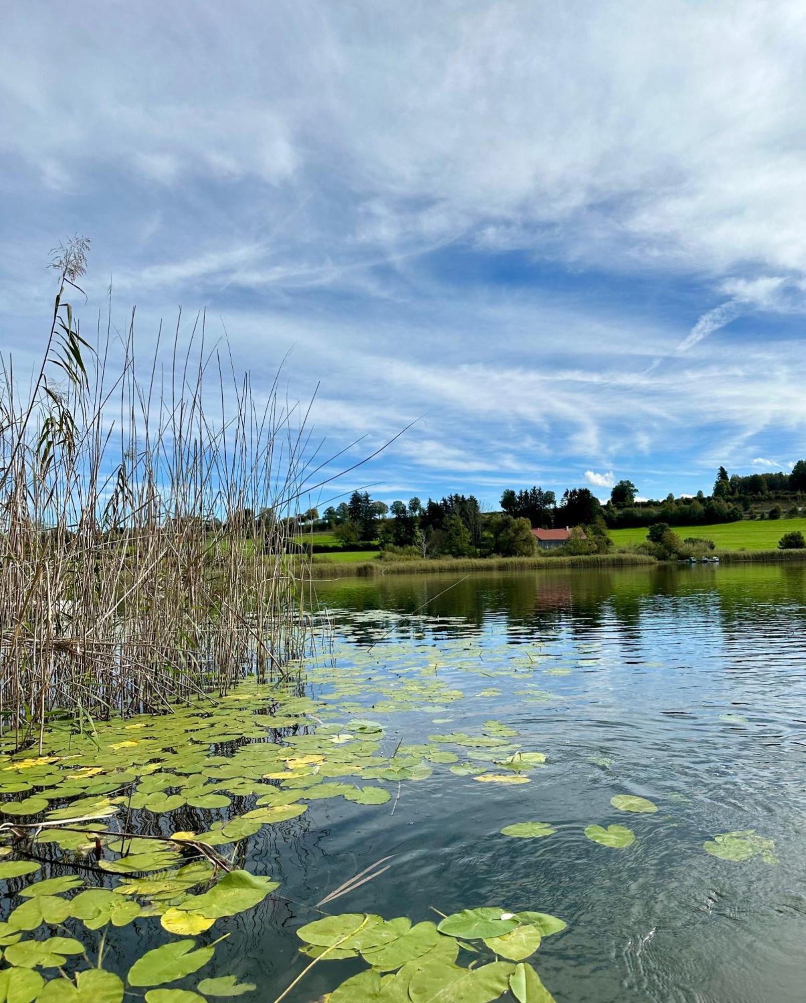 Niedersonthofen Landsitz Rocky Dockyヴィラ エクステリア 写真